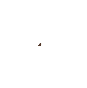 elephant-hills-logo